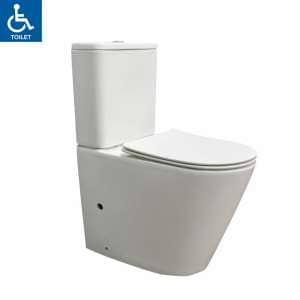 Wellness Care Height Back To Wall Rimless Toilet | A3988
