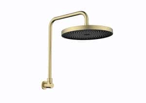 Gabe Brushed Gold Shower Head With Arm