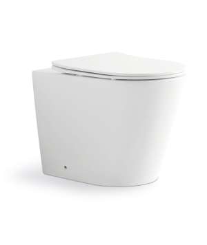Ceramic Bathroom Rimless Toilet WC Floor Mounted Toilet Seat |  LXP008