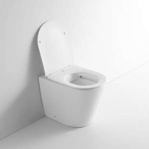 Ceramic Bathroom Rimless Toilet WC Floor Mounted Toilet Seat |  LXP008