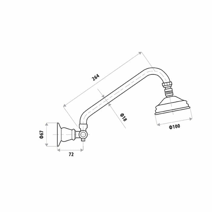 NOOSA Gooseneck Shower Arm and Rose